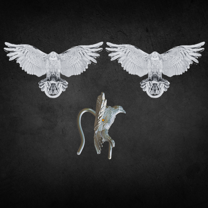 Elyssas Custom Raven Lantern Earrings