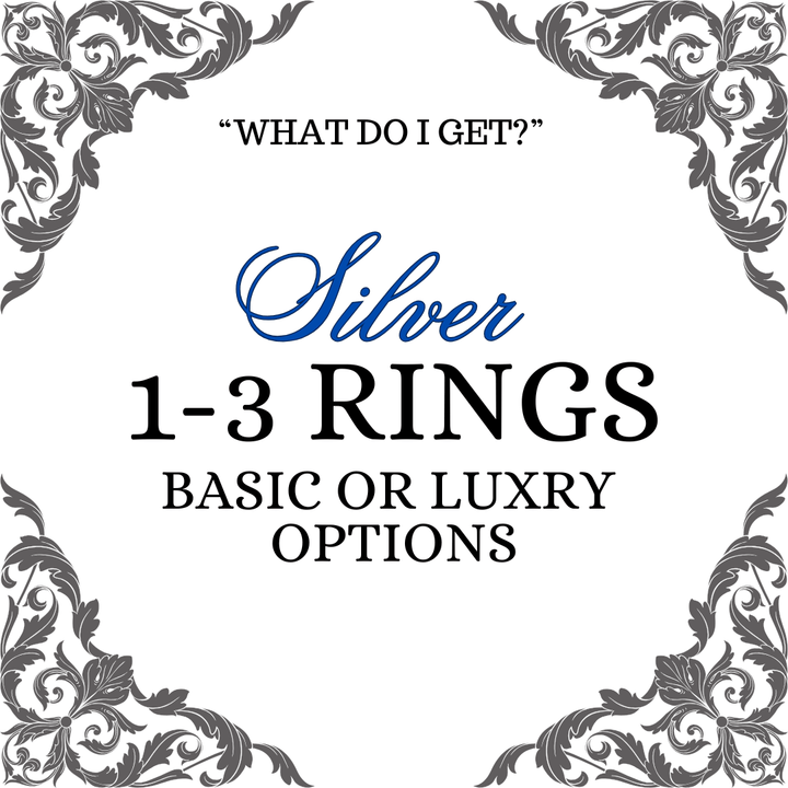 Silver Ring Mystery Bag