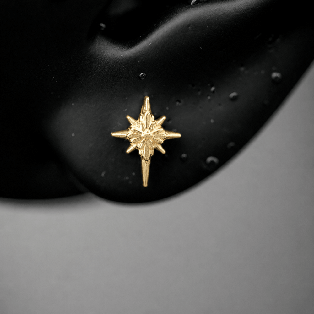 North Star Studs (Without Gemstones)