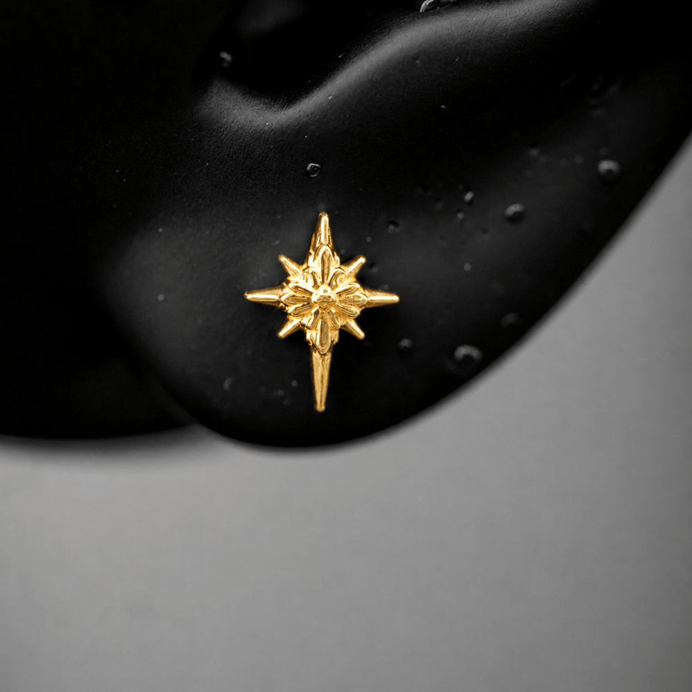 North Star Studs (Without Gemstones)