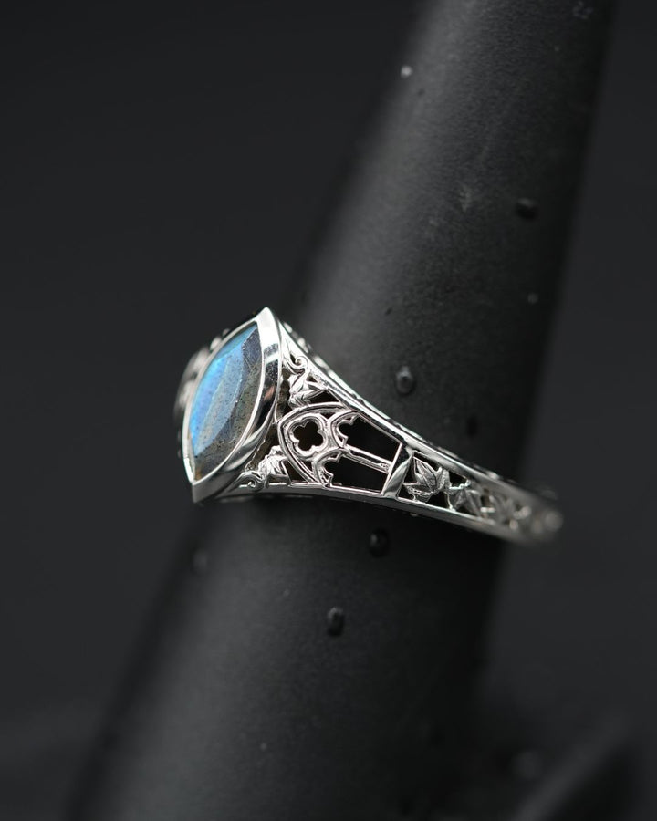 Arthur's Custom Platinum Rings FINAL PAYMENT