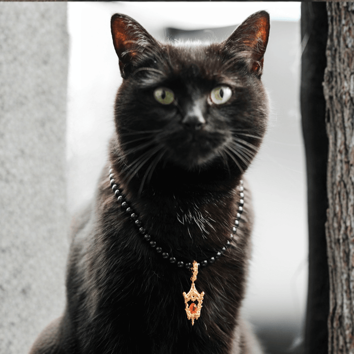 Eternal Lantern Necklace (Pearl Enhancer) PAYMENT PLAN