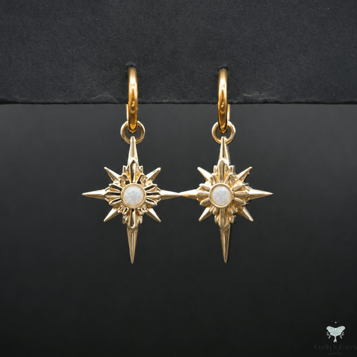 North Star Earrings - Titanium Hoops (With Gemstones) PAYMENT PLAN